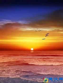  物以类聚人以群分是什么意思？