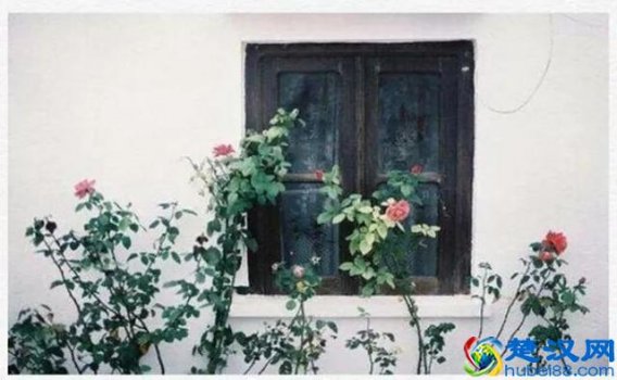  欲擒故纵是什么意思（欲擒故纵是套路吗）