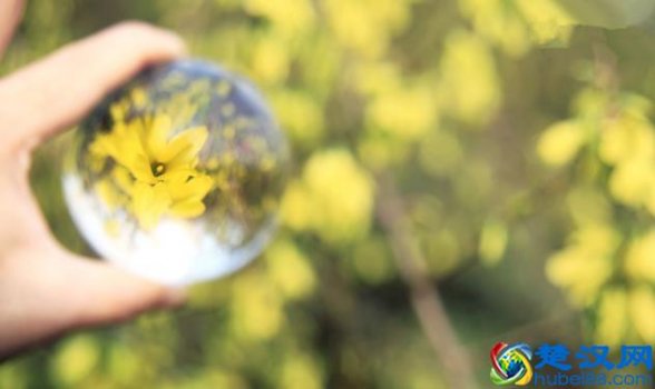  88年属什么（88年人的命运解析）