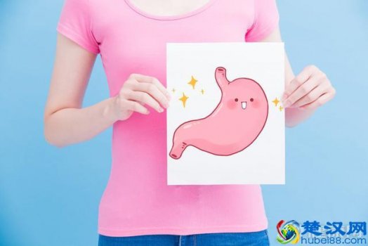  吃什么养胃（真正养胃的食物你知道吗）