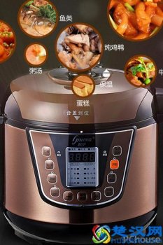  电压力锅什么牌子好，压力锅选购技巧！