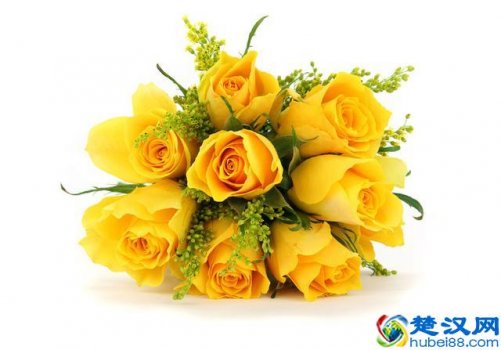 黄玫瑰的花语是什么意思,有哪些含义!