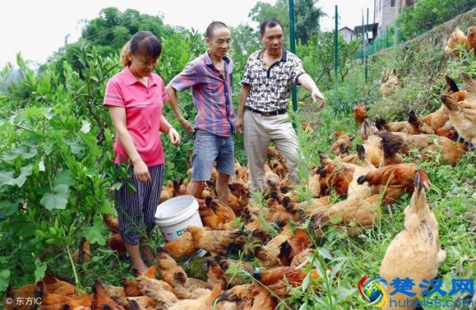  什么行业一年能赚100万（十大最能挣钱的行业）