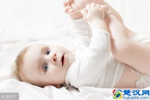  什么小象纸尿裤（成长小象纸尿裤系列怎么样）