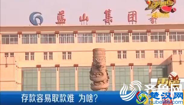 什么是蓝商网(蓝商集团是做什么的)