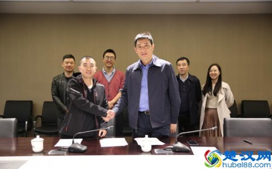 什么是大掌柜平台(国际物流云平台)