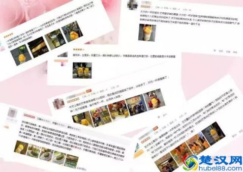  泰芒了是做什么的（泰芒了里面有些什么产品）