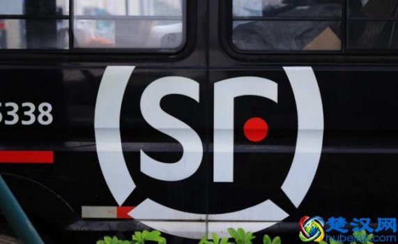  最赚钱的公司（2019中国上市公司净利润排行）