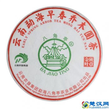  金叶茶是什么样的价位（金叶茶的药用与食用价值）