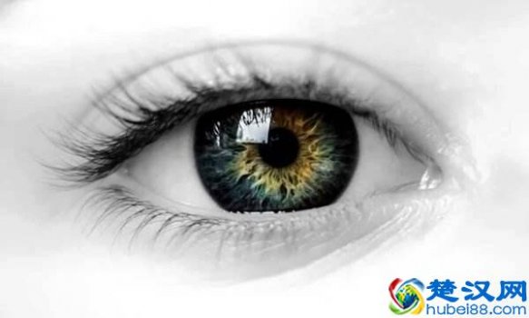  三股势力是什么（认清“三股势力”的真实面目）