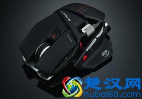  鼠标不动了怎么办（电脑开机后鼠标无法移动的解决方法）