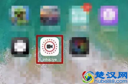  苹果手机怎么设置动态壁纸（iPhone 怎么自制动态壁纸）