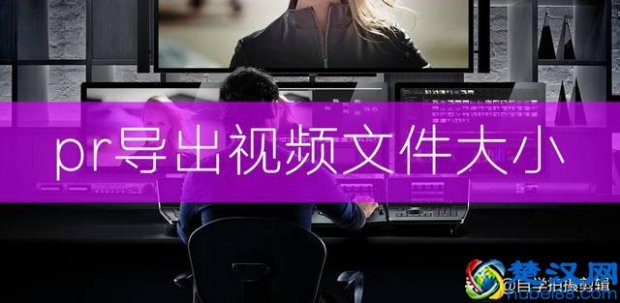  视频文件太大怎么变小（如何调节视频文件大小）