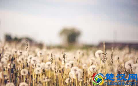  什么是轻音乐歌曲（轻音乐是什么风格和特色）