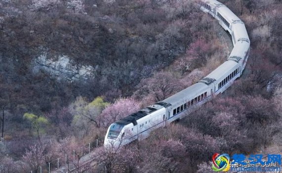  什么叫动车和高铁（你分得清动车、高铁、地铁和轻轨吗）