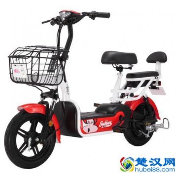  什么品牌电动车质量好（市场上哪些牌子电动车口碑好）