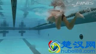  蛙泳怎么游泳快又省力(长期蛙泳的身材)