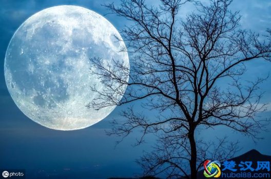  怎么写现代诗歌格式（诗歌的表现手法）