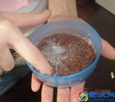  珍珠海藻面膜怎么敷（珍珠海藻面膜怎么敷）