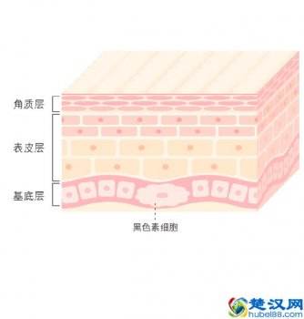  去黑头最有效的产品推荐（去黑头产品排行榜10强）