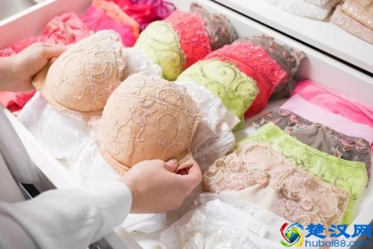  罗丽丝内衣加盟费用是多少，罗丽丝内衣属于什么档次！