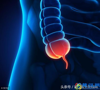  阑尾在左边还是右边，阑尾有什么作用，可以切了吗！