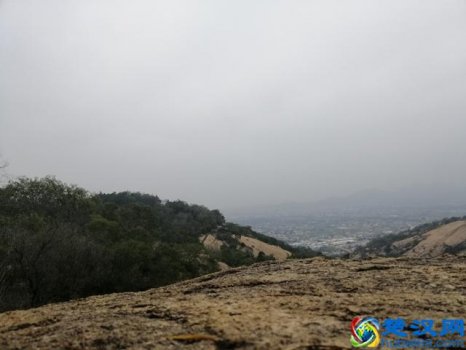  人为了什么而活着？人到底活着是为什么