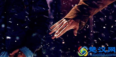  义无反顾是什么意思？义无反顾的爱情是什么样子