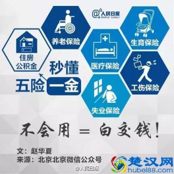  五险是什么（干货分享，五险一金的用处）
