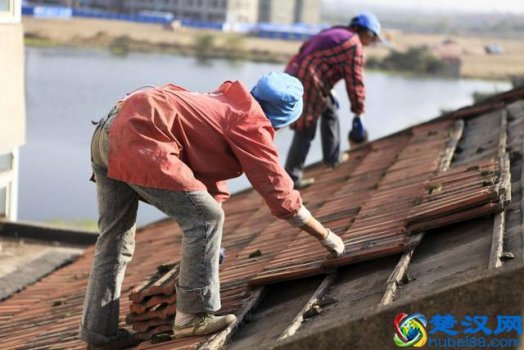 做什么好白手起家(哪些生意利润较大)