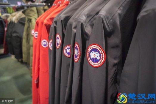 羽绒服是什么牌子的好看(羽绒服应该怎么选)