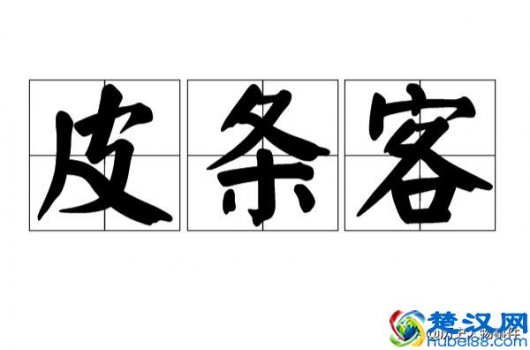  什么是拉皮条的生意(拉皮条犯罪吗)