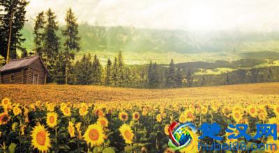  悦创诗译解读（悦创诗译读后感和心得）