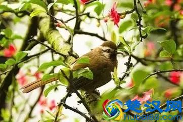  生命的天空短文内容（生命的天空读后感悟）