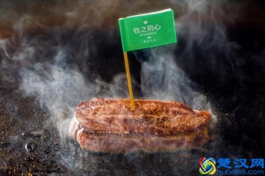  牧之初心是什么意思（牧之初心是做什么的）