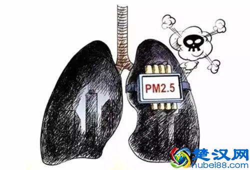  雾霾怎么读什么意思(雾霾的危害)