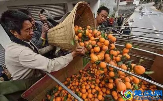  没本钱做什么赚钱快（一个月赚10万最快赚钱方法）