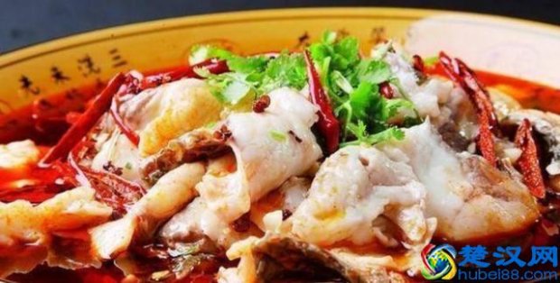  重庆的莲鱼广东叫什么鱼（大头鱼和鲢鱼的六大区别）