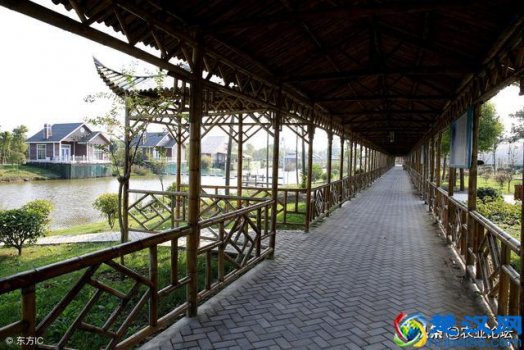  在农村做什么能挣钱（未来5年稳赚的十种工作）