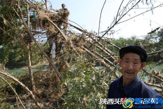  清扫垃圾的体会和感受（以最美环境献礼新中国成立70周年）