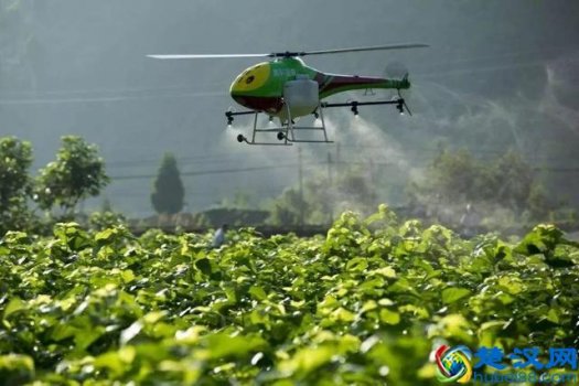  水稻智慧农业解决方案(一文读懂智慧农业：行业机会、发展模式、场景应用、未来路线)