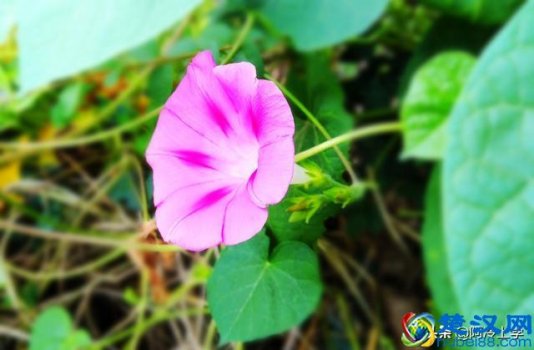  什么是论据论证论点（学会3种必备论据分析的方法）