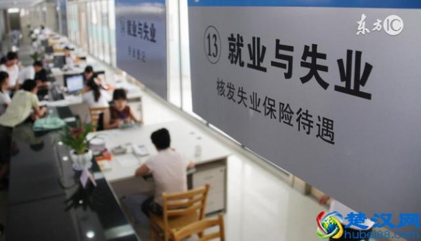  公司交的失业保险有什么用（失业后，该如何领取）