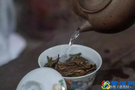  醒茶是什么意思（醒茶是什么意思）