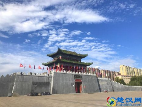  海东青是什么（海东青是什么？辽代契丹人最爱）