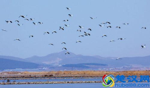  什么是职业道德（你还知道什么是职业道德吗）