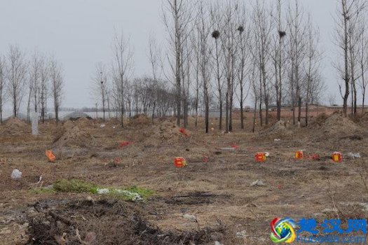  鬼火是什么现象，人看见鬼火会倒霉吗？