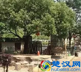  农村做什么生意赚钱（农村创业项目）