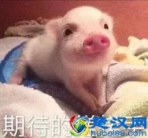  现在有什么好玩的游戏（2019适合女生玩的十款游戏推荐）超耐玩