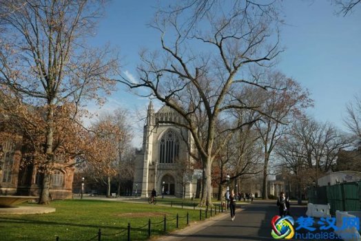  美国普林斯顿大学环境怎么样（美国普林斯顿大学校内图片分享）